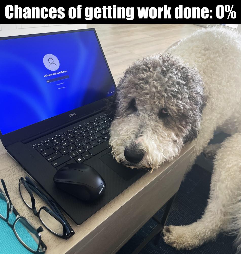 ChancesofworkBIG