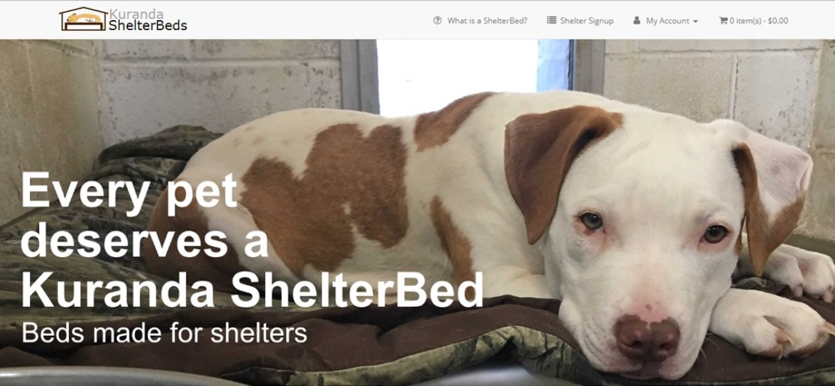 shelterbeds shelterbeds